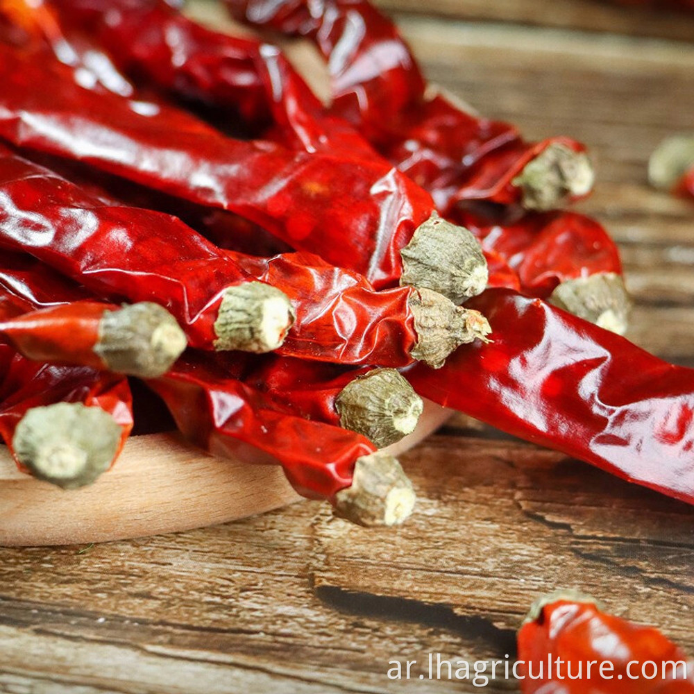 توابل الفلفل الحار العالية High Spicy Chili Spice